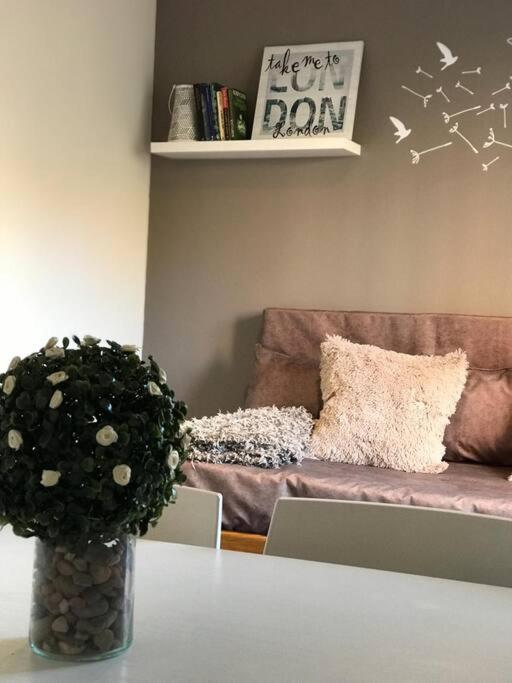 Petit Rivadavia En El Corazon De Mendoza Apartment ภายนอก รูปภาพ